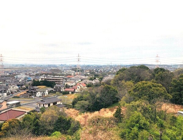 藤和シティコープ東浦 8階